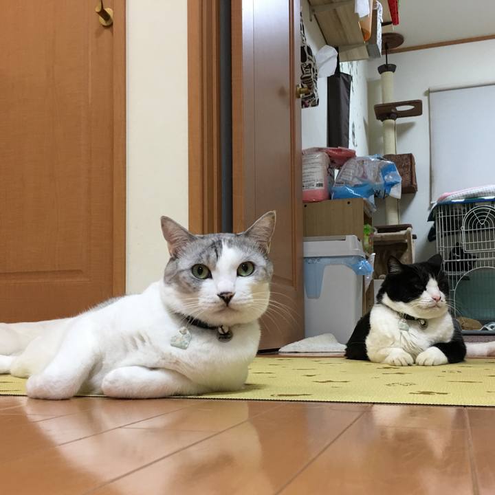 Bc4dec60 3c72 487f 903f 18b93df4a90a 1539504049643