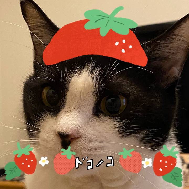 Bc4e52a0 18ef 41ef 883e 6c722d01df5b 1775305782406