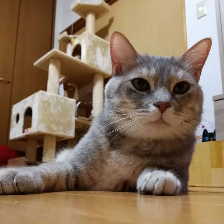 Bc4e62ed b30b 4fcf acc1 2e00255aa1af 1553005107850