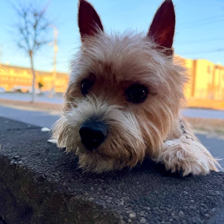 Bc4e9193 aa04 4487 8ffe dd61bfa71bd8 1766134763095