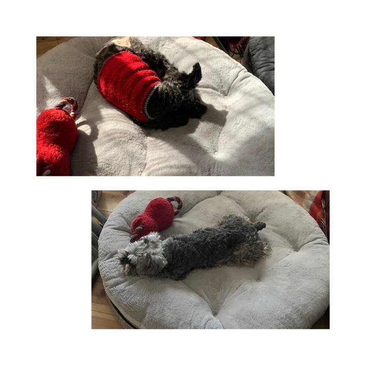 Bc4e9882 a696 49f0 8b7a cb7d99c531ab 1645763185653