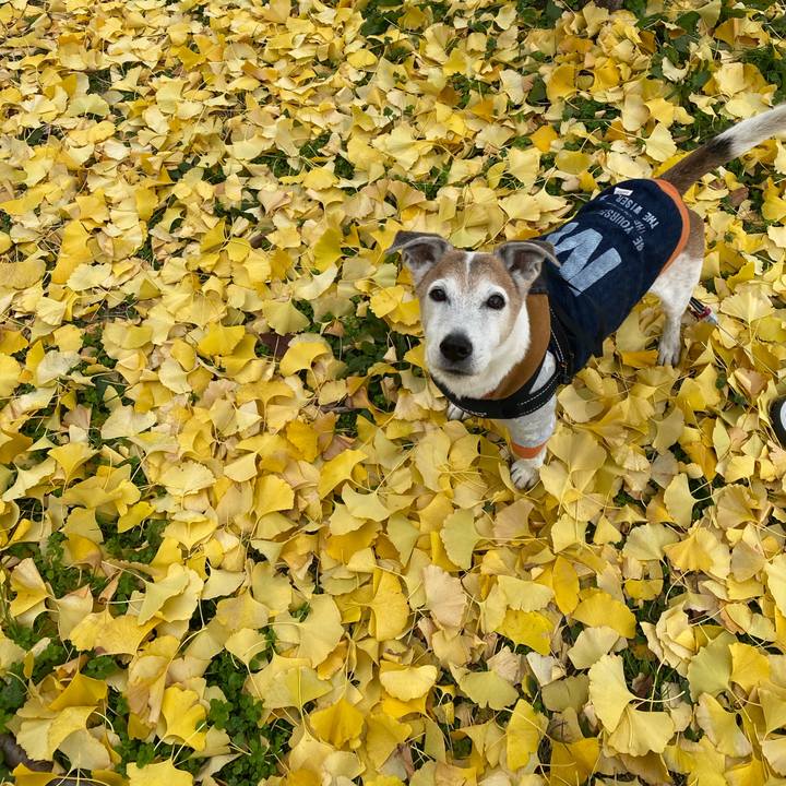 Bc4eb094 7cc4 4495 9285 01d559455ddd 1607843810798