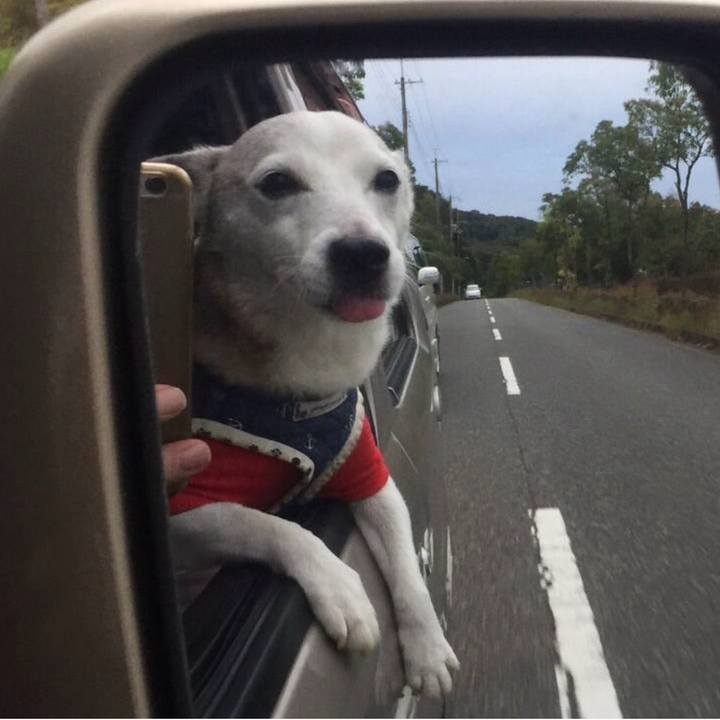 Bc4ed716 25db 4171 8774 9900a364826c 1763244575682