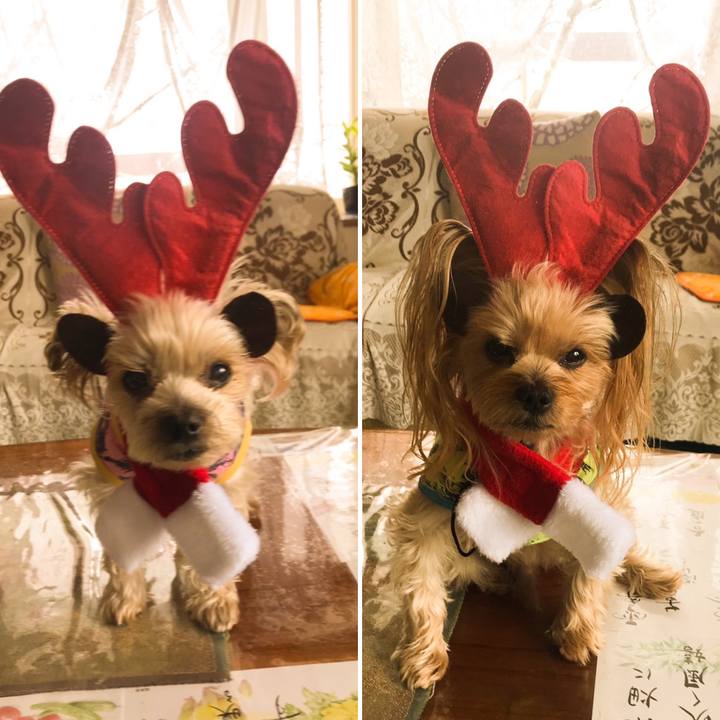 Bc4ed766 e489 405d 9067 03c12989dd55 1577168958287