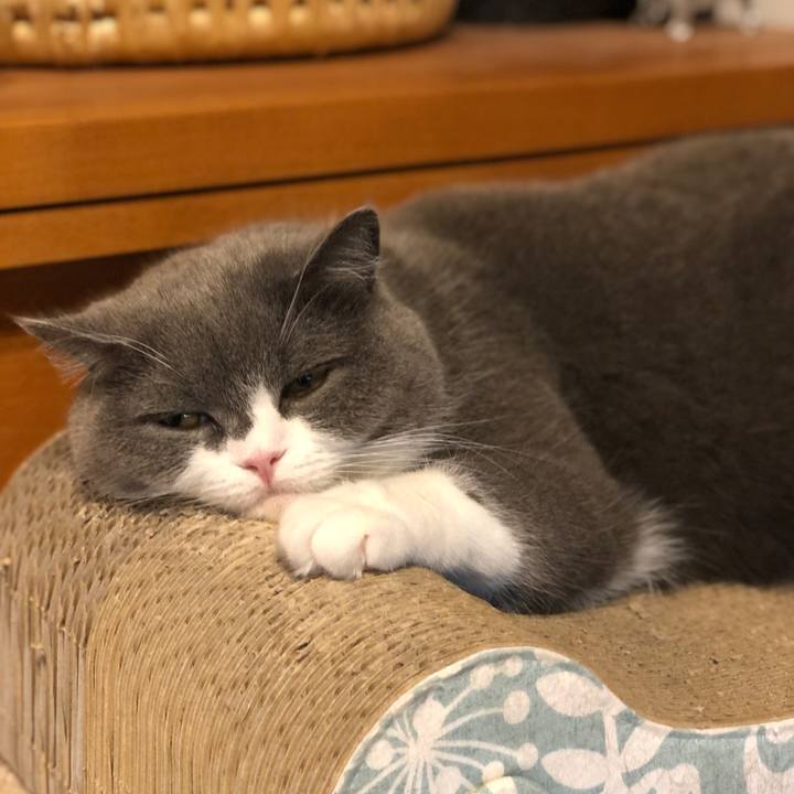 Bc4ee8b4 bb09 484d 9ee4 523e3d005b06 1622937420869