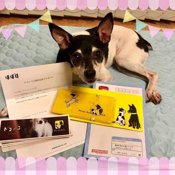 Bc4f9980 ec72 4cf1 aecc af03502431d9 1563801192333