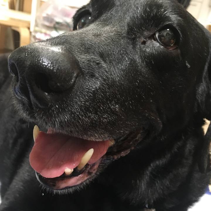 Bc4fc370 39ca 4be2 ac17 db7cc29031ae 1577324904475