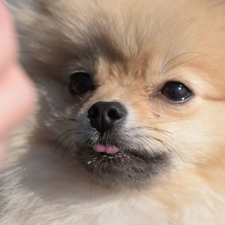 Bc4ff434 1525 42dc 8bd1 feb1c0bb2937 1525599338478