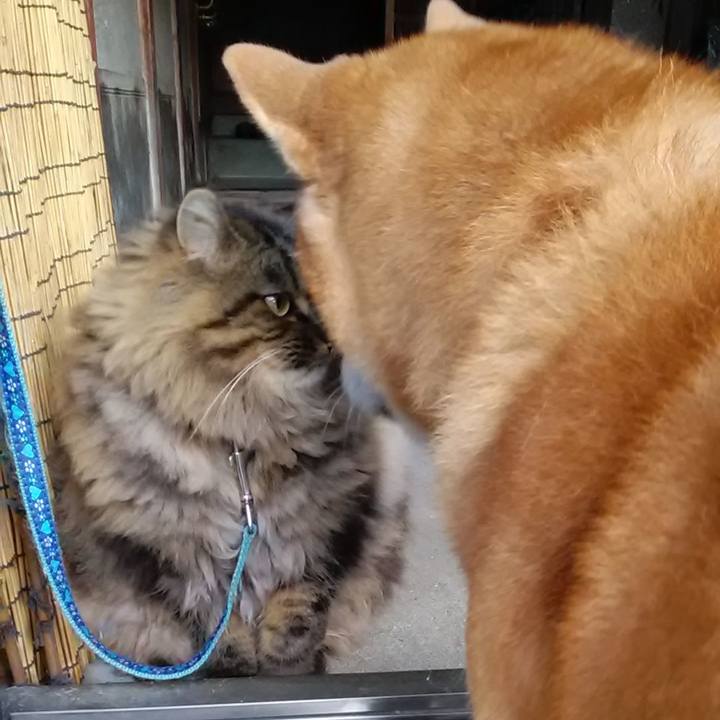 Bc4ff4b4 5d6a 4c35 8cc5 af2dac23bda5 1609143959155