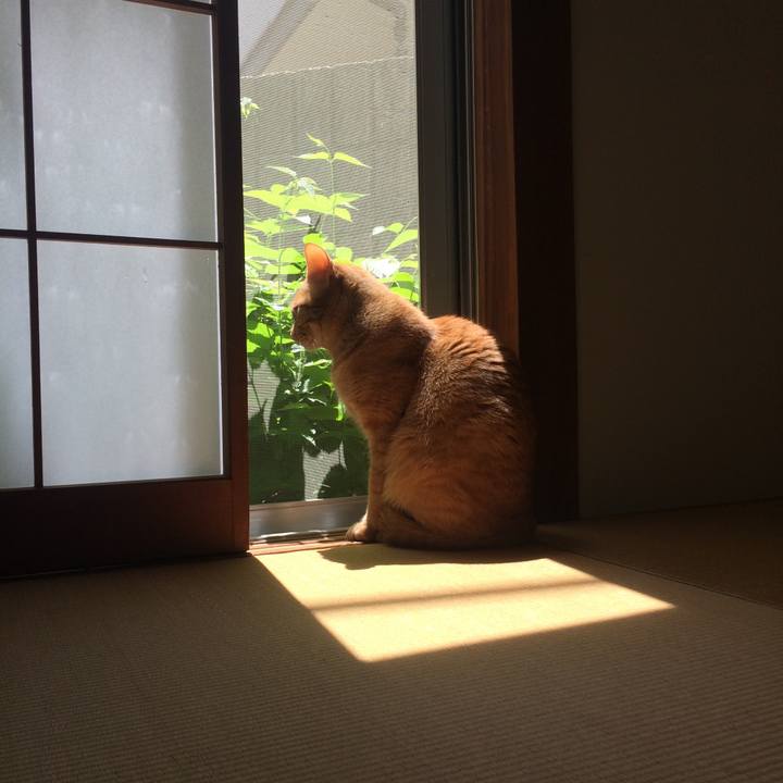 Bc5026ee 058a 4916 838e 47b6049136cd 1557534866365