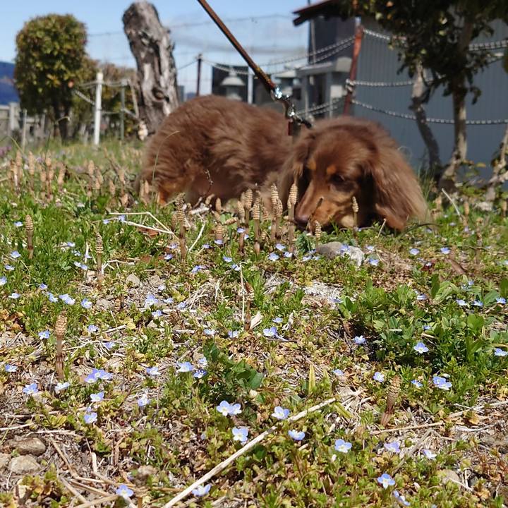 Bc502de4 e1a7 4ee6 8211 60f4a5ed7f2d 1647851366692