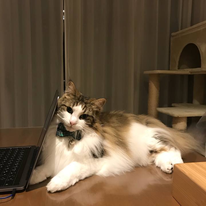 Bc506893 c805 4993 8312 57e14310a84c 1622124460762