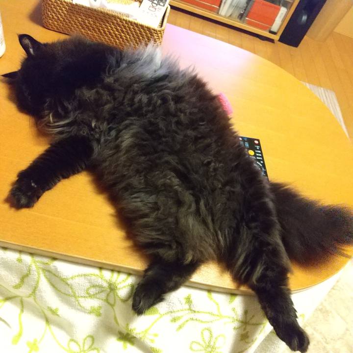 Bc50934a 32e9 47a8 a250 3ad0ed2338fe 1650888734376