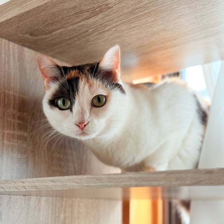 Bc509532 e3be 4c3b b1c8 56f0fd26ec0c 1731546479215