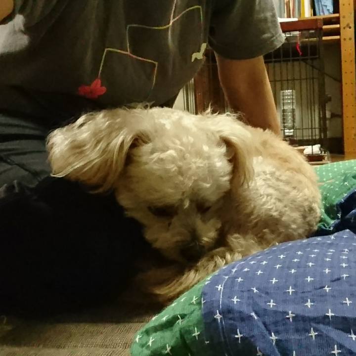 Bc509d60 3585 4424 b901 acae33f2a5d8 1537154828454