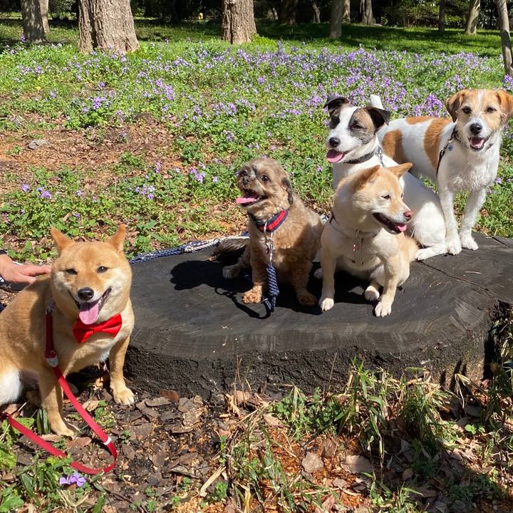 Bc509d68 2870 49bd a1df 262c54784626 1583978300128