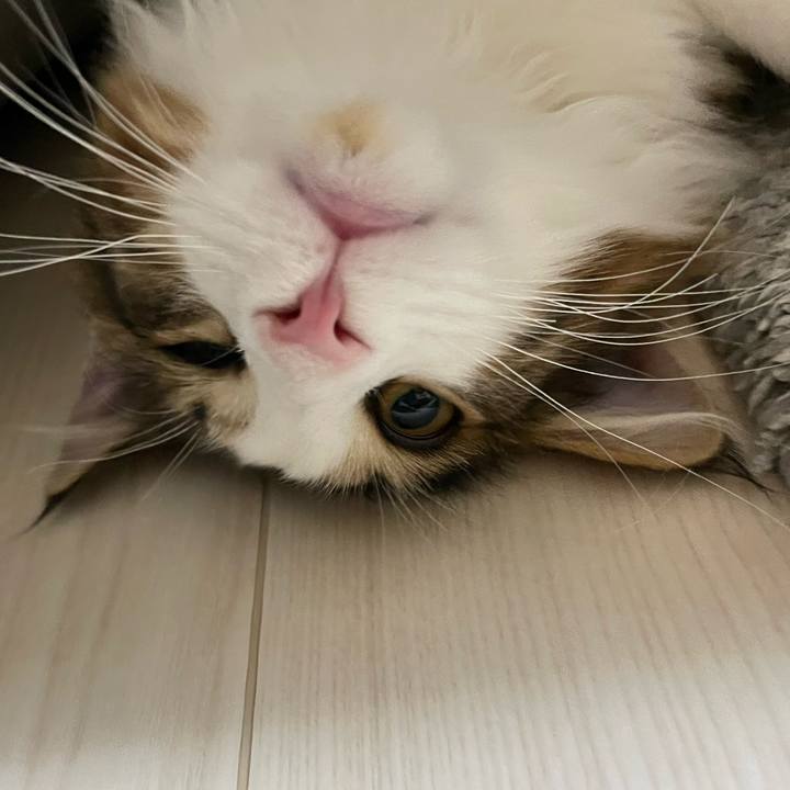 Bc50b14d 3a94 460e be92 4034f9b9e0d6 1638191612071