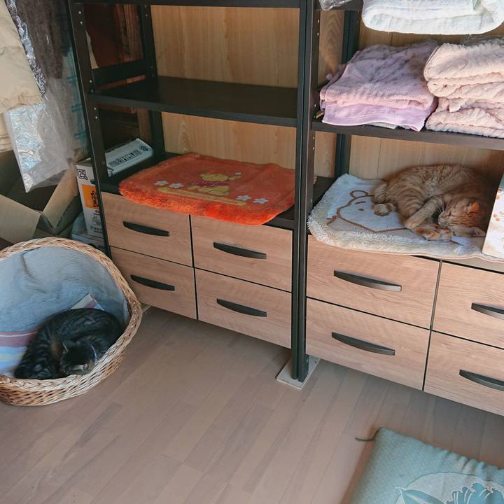 Bc50e4ac 7c29 4c88 b7e7 8a1a8adfd9aa 1662778827451