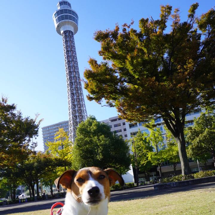 Bc51047d 3df8 4b47 8e79 fefe1aff4f30 1762258845631