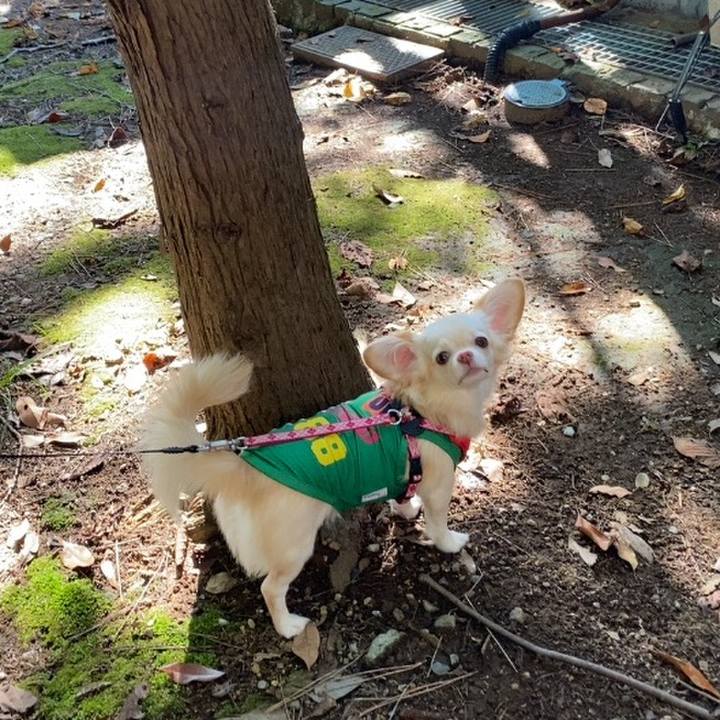 Bc5105f1 dfb5 46c3 a2ce 084ba4dbe938 1632123489538