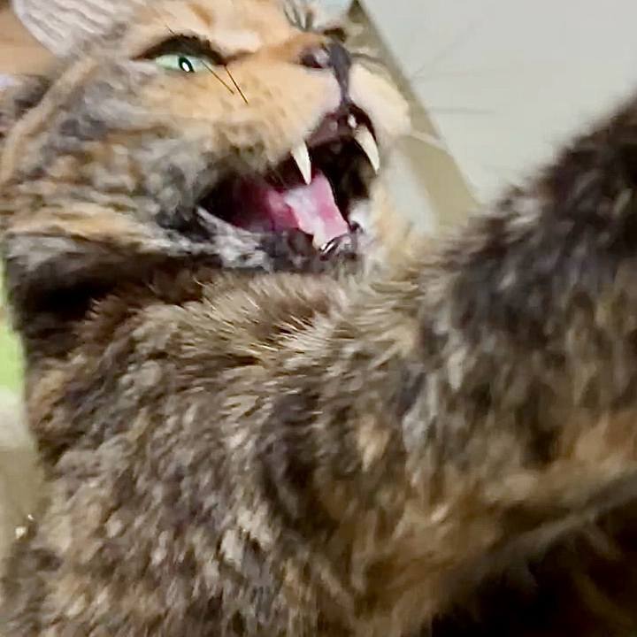 Bc512576 a9cd 4e0d 9456 3a01a38a7257 1744310751232