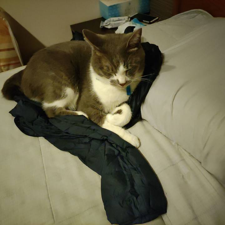 Bc5137d1 6df3 4314 96e3 df4101dc9553 1667387540132