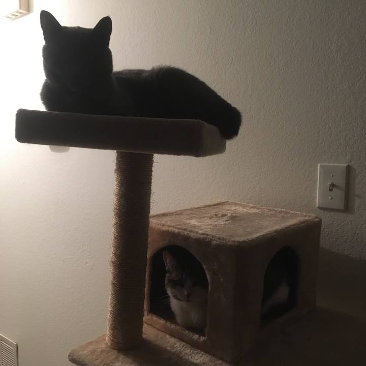 Bc515ec7 c787 4a77 b6d6 8f879d2e6270 1645499344485