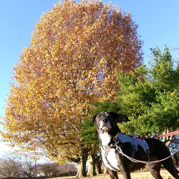 Bc516932 3d9e 4855 90aa 402ed83a2850 1733527976436