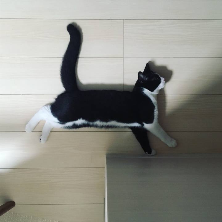 Bc51e37a b446 41e3 be5e 4d776a392c45 1532162897117