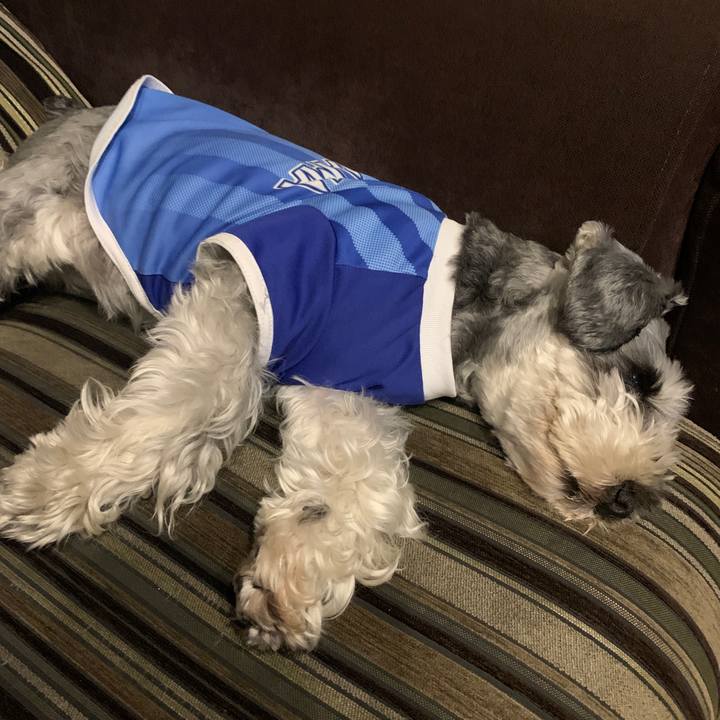 Bc51edf3 04f8 4e01 bf24 286fd7e2f3d7 1655814952304