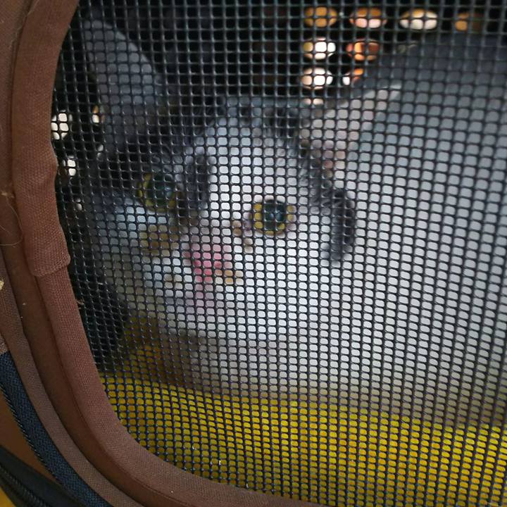 Bc52459b d59b 4d78 91a1 f4333d4b4885 1534815858413