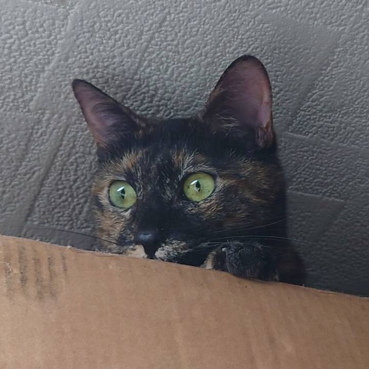 Bc52f79b 9e00 4509 8527 d8582f7fffcd 1743087095320