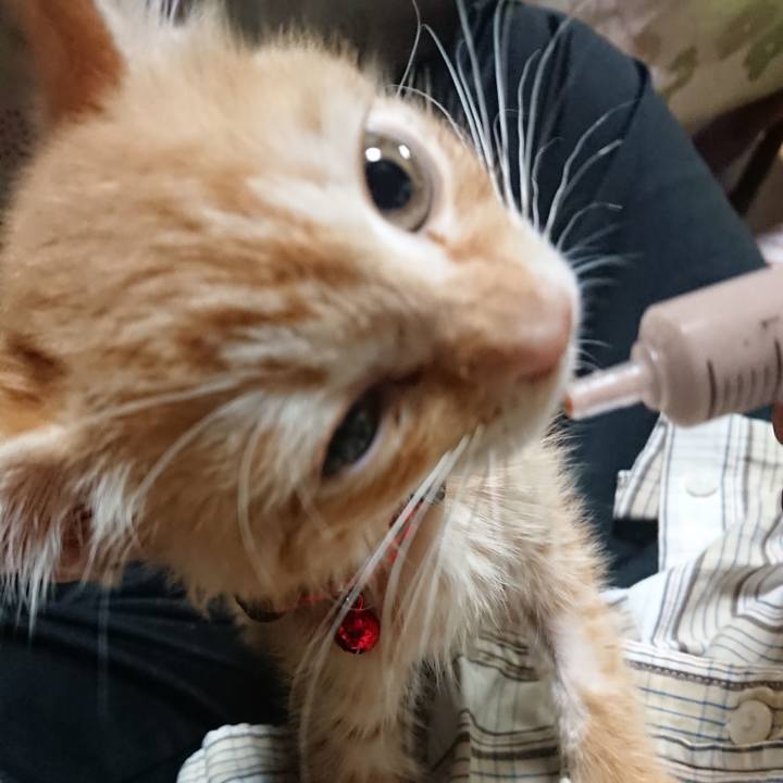 Bc53314b e58e 42ac bf77 d20d20a6213e 1628682307040