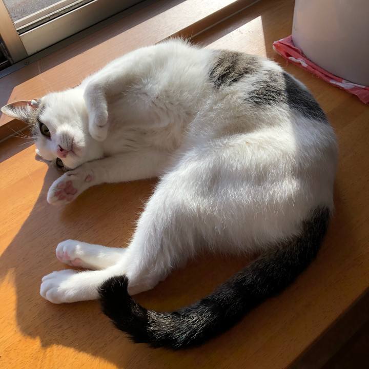 Bc5332c1 97aa 4fd0 8db2 f1ae649c9040 1586819414482