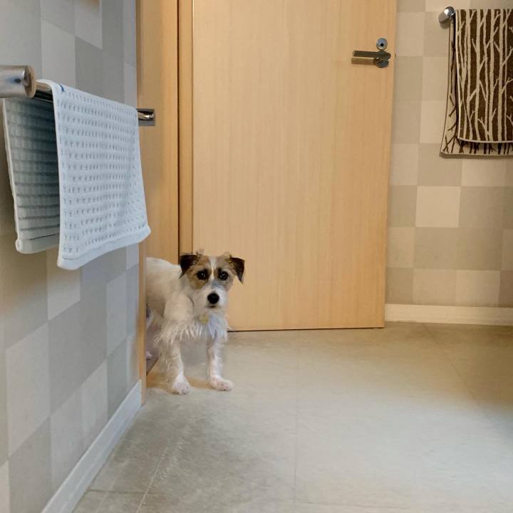 Bc534ea3 f18e 4162 a91b d6d87bcc9b7a 1628415698584