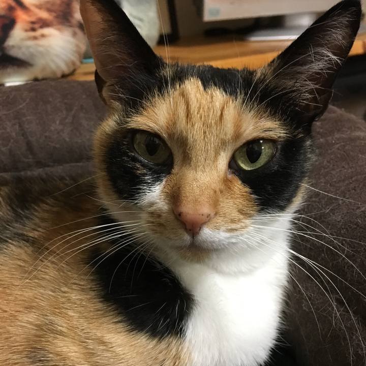 Bc537e01 3e4f 4d42 8dd9 9eef111eb182 1520588621345