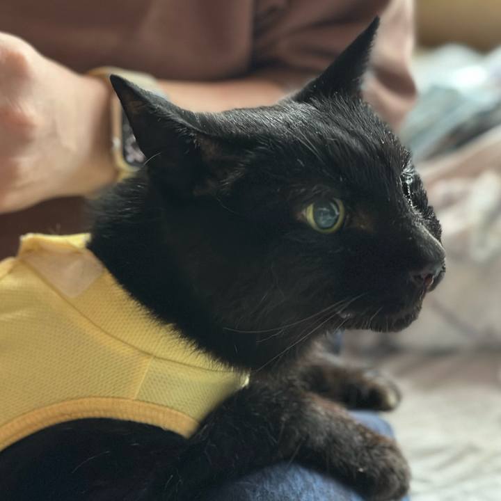 Bc53a3c3 7fe7 4347 944a e431ebe59df9 1718848588289