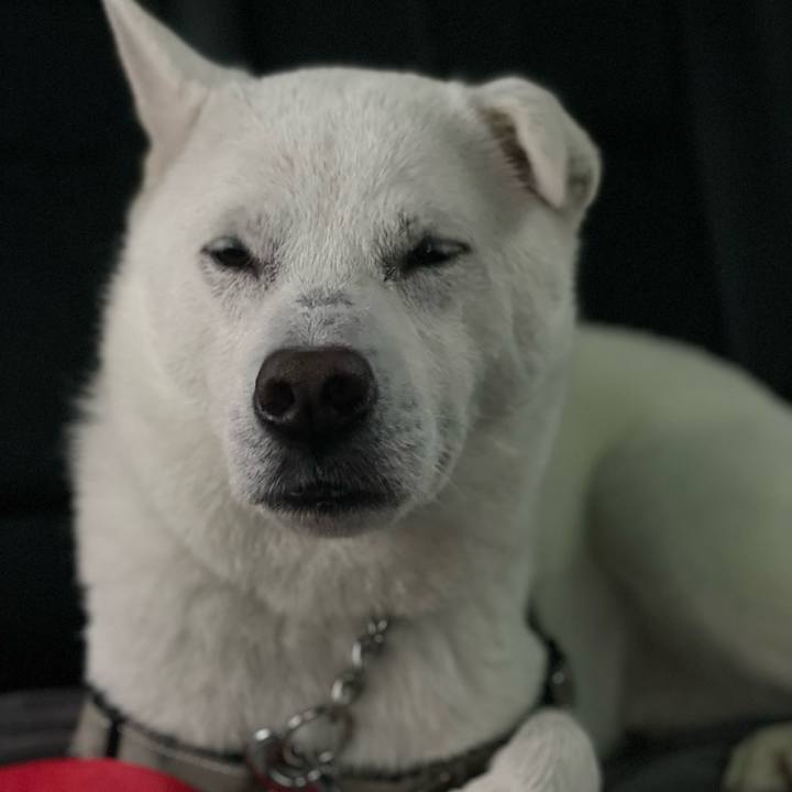 Bc5446df 7ff9 4cfd 924a ae12dc950f8b 1749514594165