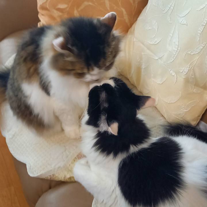 Bc547643 1425 49bc a6fa 1c5afb1aa137 1658180402708