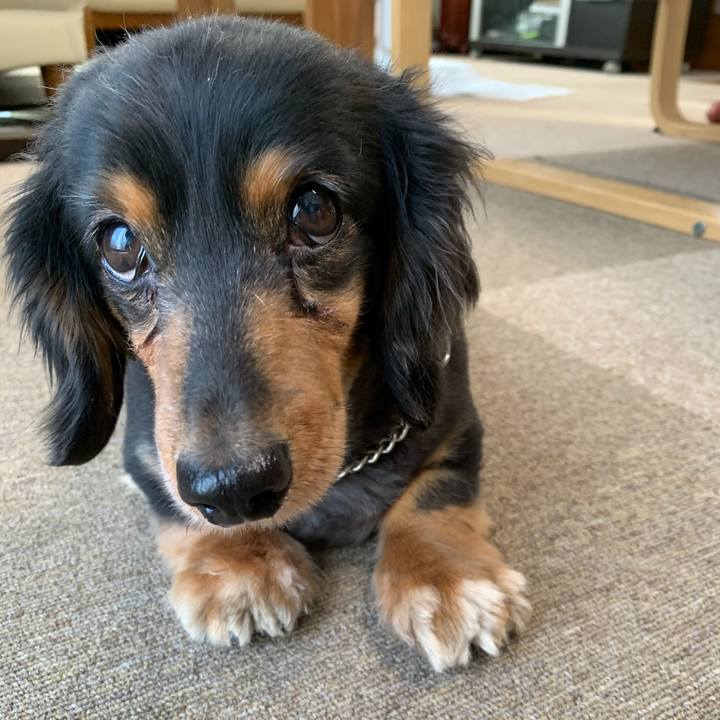 Bc547d8f eeb6 49ea b3a6 5e88a15516c6 1585000392995