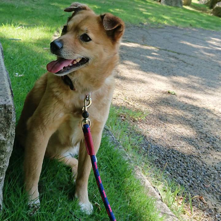 Bc54a1a2 e49b 4d4e 842b e28295ba52f0 1562148096339