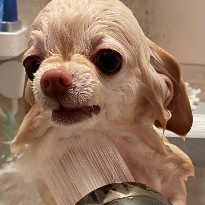 Bc54baf9 d54e 46b5 afe3 c5445aacdb0c 1748249755287