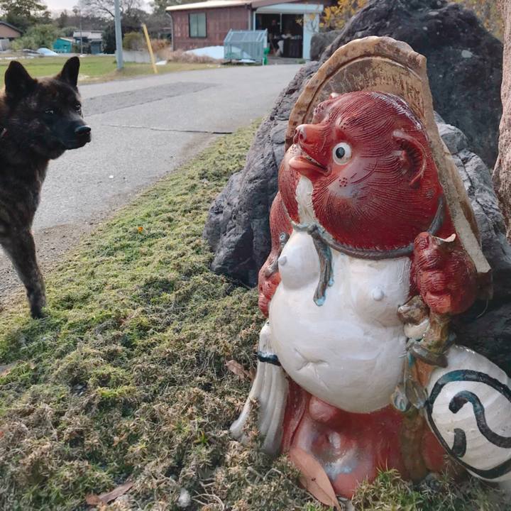 Bc54df55 430b 49c4 ae03 b1d702ba98d2 1519026192962