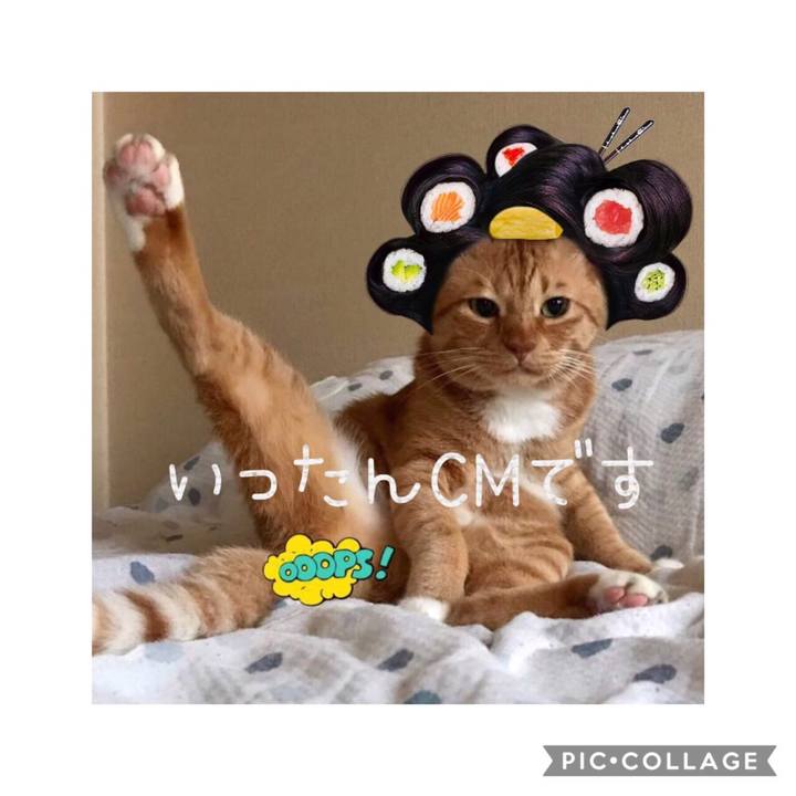 Bc54df99 38b2 4055 a50b da73152b1745 1567340403334