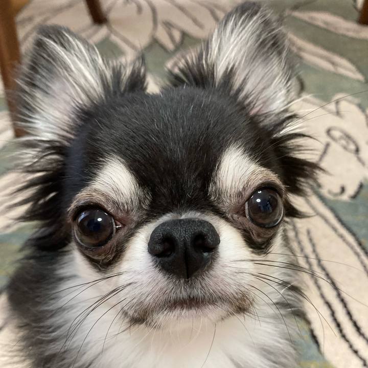 Bc550f74 3e75 45f9 b36c 007337d1e272 1630101474940