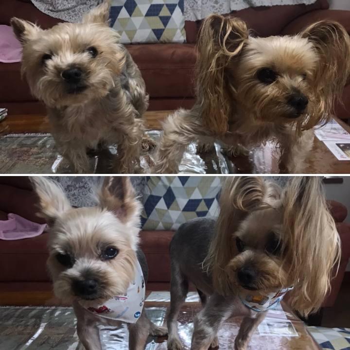 Bc5527cc 2078 4e1e b125 e96c8d3ea60a 1596620377757