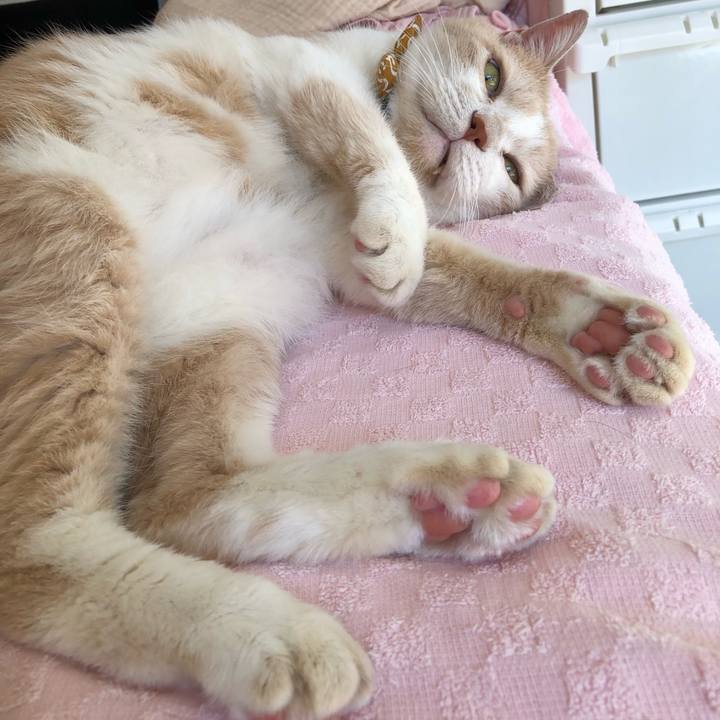 Bc554ea2 7e8c 4645 a7e5 3017d1d79b38 1600646019254