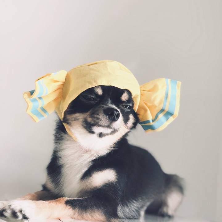 Bc55630a f022 4deb 9b0e 424bee4f11ef 1533940828246