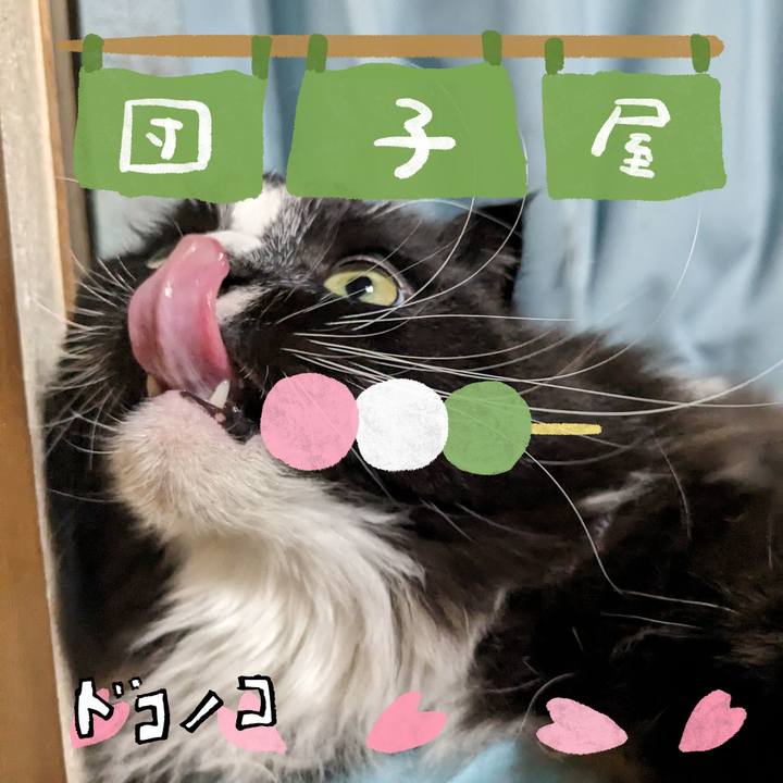 Bc557507 e253 4a59 9d4b 0511c9d9da7a 1712199764317