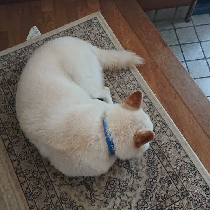 Bc5587f6 6828 4ed1 b48e 03e441a5acbb 1558843580352